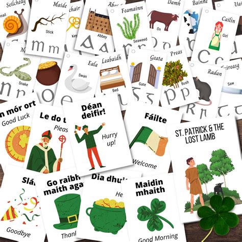 IRELAND Irish Gaelic Alphabet Phrase Language Cards Mini Book St ...