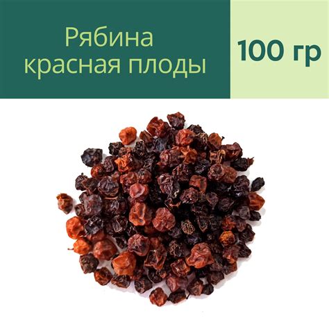 Рябина красная сушеная ягоды (100 гр) - Родные Травы - Заготавливаем ...