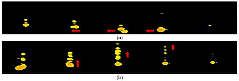 Implementing a Hand Gesture Recognition System Based on Range-Doppler Map