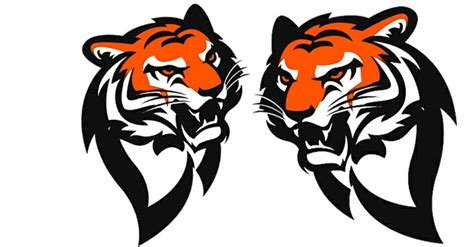 ShadXperts : Gummiköder / Shads / Kopyto River / 6" (16 cm) / Zander ...