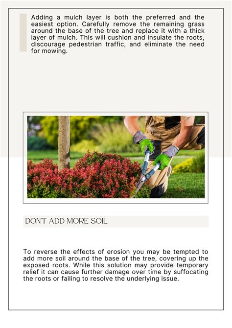 Image result for How to Mow Over Tree Roots