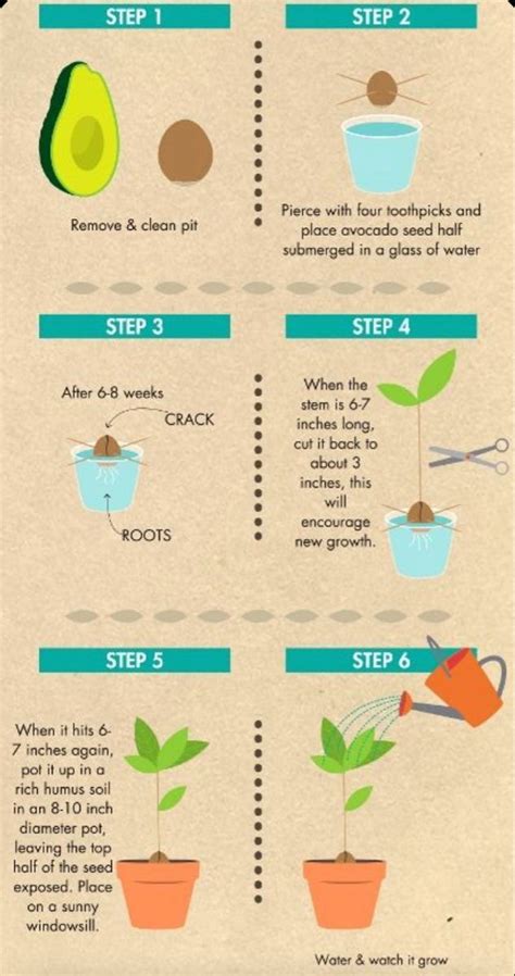Image result for Traditional Transcript Format