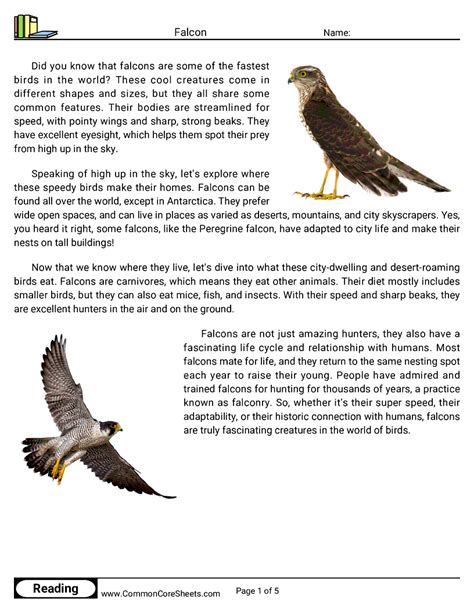 Image result for Falcon C++ Coding Lessons