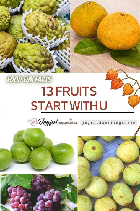 A Fruit That Begins With Y