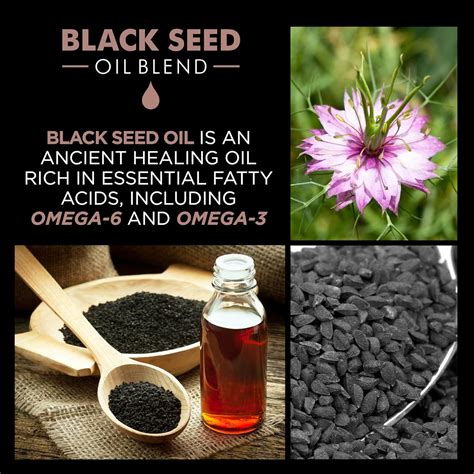 CHI Luxury Black Seed Oil Gentle Cleansing Shampoo, India | Ubuy