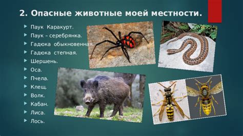 Лесные опасности 2 класс