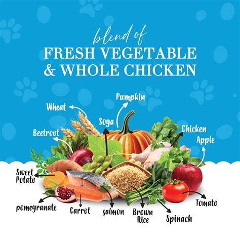 DoFo - Tailored Food for Every Furry Friend