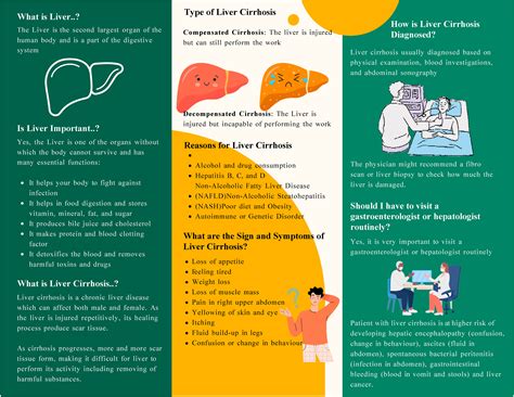 Development and evaluation of patient information leaflet for liver ...
