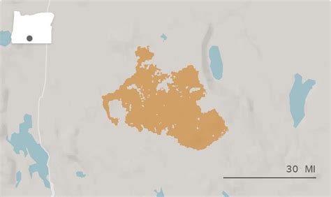 Image result for Bootleg Fire Interactive Map