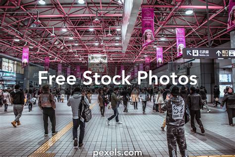 Society Stock-Photo 的图像结果