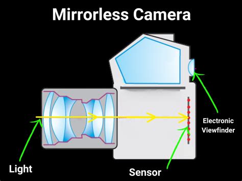 Camera Types 的图像结果