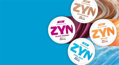 Image result for zyn