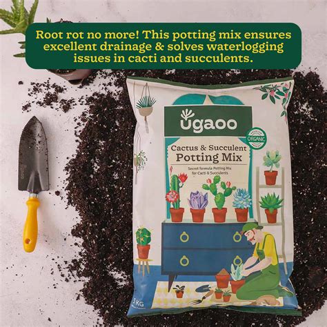 Succulent & Cactus Soil Mix: A Perfect Potting Blend - 5 kg – Ugaoo
