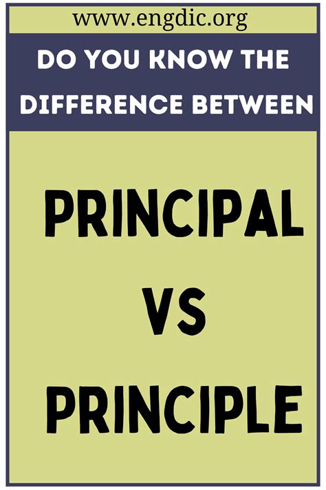 Principal vs Principle (What's the Difference?) - EngDic