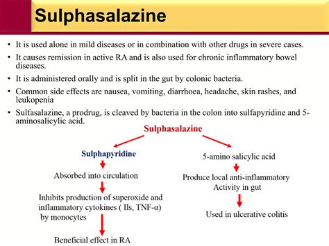 Side Effects Of Sulfasalazine