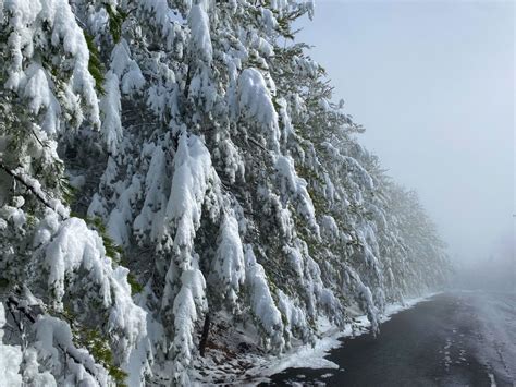 Winter in the Smoky Mountains | Treehouse Grove in Gatlinburg, TN