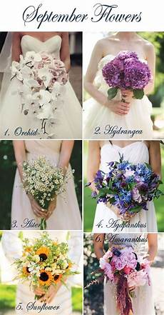 Best Wedding Flowers For September by September Flowers Lucky In Wedding Best Wedding Flowers For September