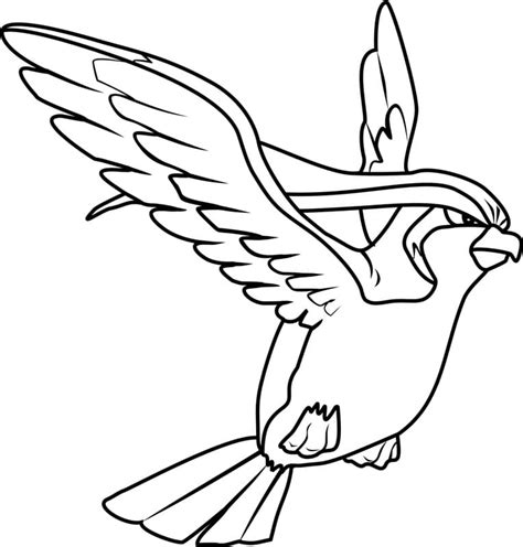 Image result for Pidgeotto Color Pages