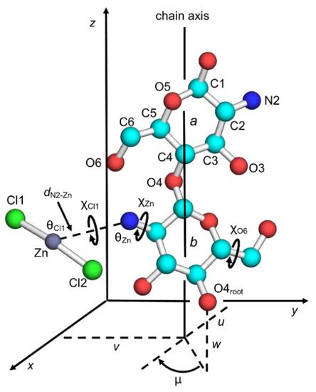 Molecular and Crystal Structure of a Chitosan−Zinc Chloride Complex