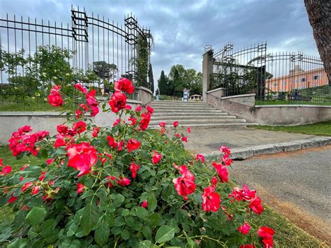 Beautiful Rose Gardens