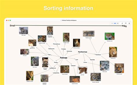 Image result for Mind Space Connection