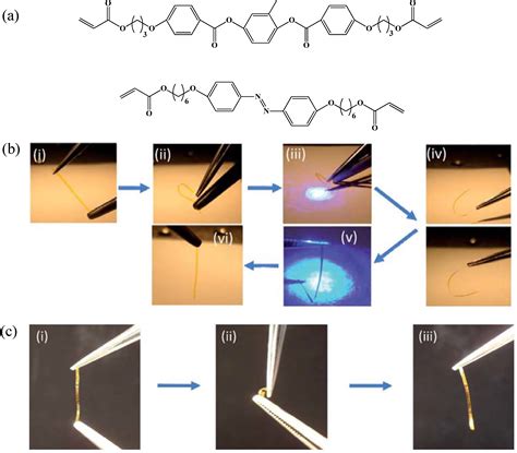 Photo-Responsive Shape-Memory and Shape-Changing Liquid-Crystal Polymer ...