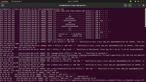 Apache2 Log 的图像结果