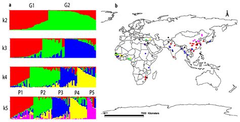 Analysis of Genetic Diversity and Population Structure of Sesame ...