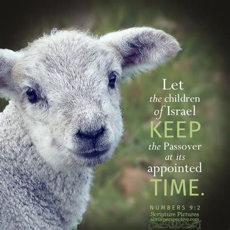 Image result for Numbers Chapter 9