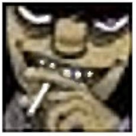 Yuecoom Groove Wheel VShaped, Track gate Wheels, V Shaped Double ...