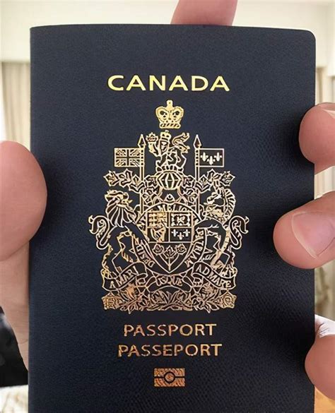 想拿第二护照？外国护照全面分析，来看看哪个国家护照适合你_身份