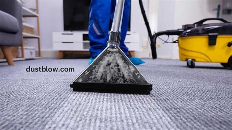 How to Cleaning Tools for Deep Cleaning Carpets? - DustBlow