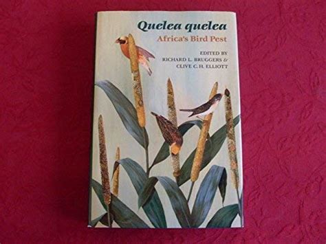 Buy Quelea Quelea: Africa's Bird Pest Book Online at Low Prices in ...