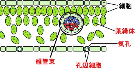 Visual Basic Tutorial Excel 的图像结果