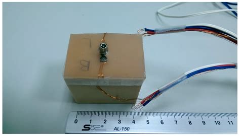 Biomechanical Effects of Diameters of Implant Body and Implant Platform ...