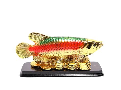 Buy The Spiritual Living Golden Lucky Arowana Fish Feng Shui for Good ...