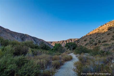 Big Morongo Canyon Preserve-Summer 2020 – BB Photography Studio
