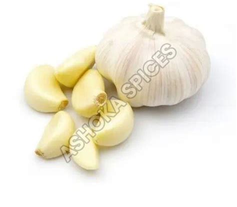 ASHOKA SPICES, Delhi - Neem Oil and Moringa Oil Exporter & Supplier