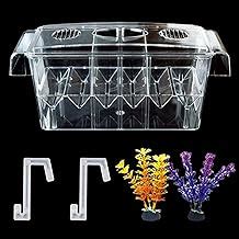 Fish Breeding Box,Acrylic Breeder Hatchery Incubator | Ubuy India