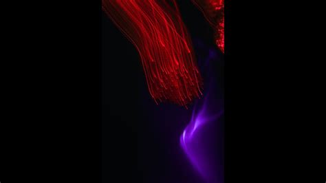 Image result for Stack Smashing Detected Terminated