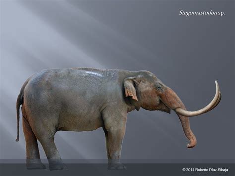 A MEGAFAUNA DO PLEISTOCENO NO BRASIL 🐘 - uma thread de @BiodiversidadeB ...