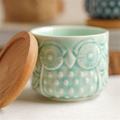 Owl Plant Pot Online - Premium Planter | Nestasia