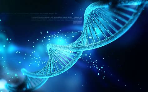 Image result for Genetics Algorithm Define