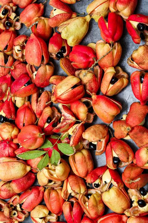 Jamaican Ackee Benefits - Healthier Steps