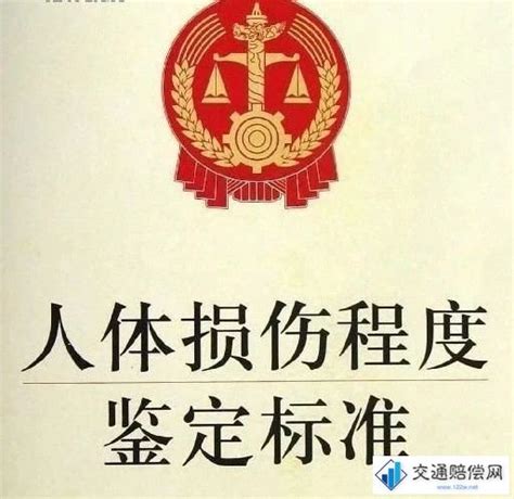 《人体损伤程度鉴定标准》（适用2023）_交通赔偿网