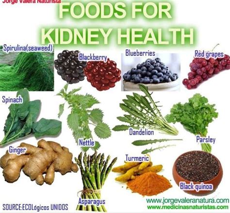 Pin by Ali Rich on Daily Habits | Food for kidney health, Kidney recipes, Kidney health