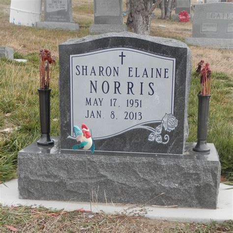 Sharon Elaine Blakeman Norris (1951-2013) - Find a Grave Memorial