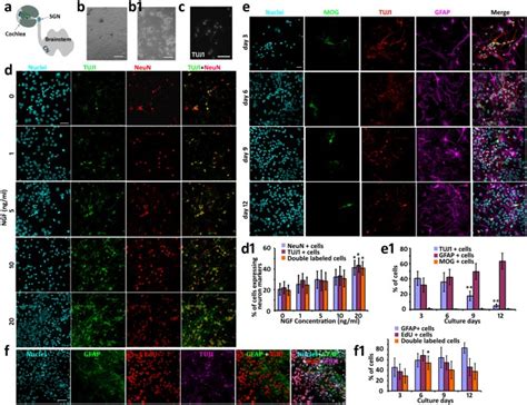 Image result for synapse native external table