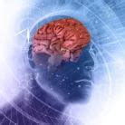 Paranoid Personality Disorder - Mental Health Disorders - MSD Manual ...