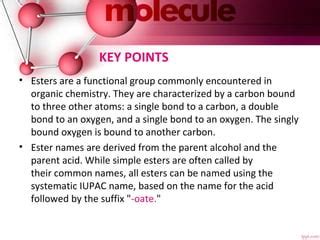 Free Science Lessons Esters 的图像结果